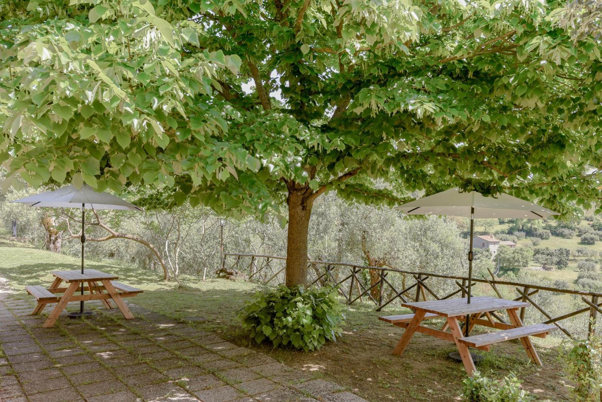 Agriturismo Il Mulino Delle Canutole Magione Esterno foto