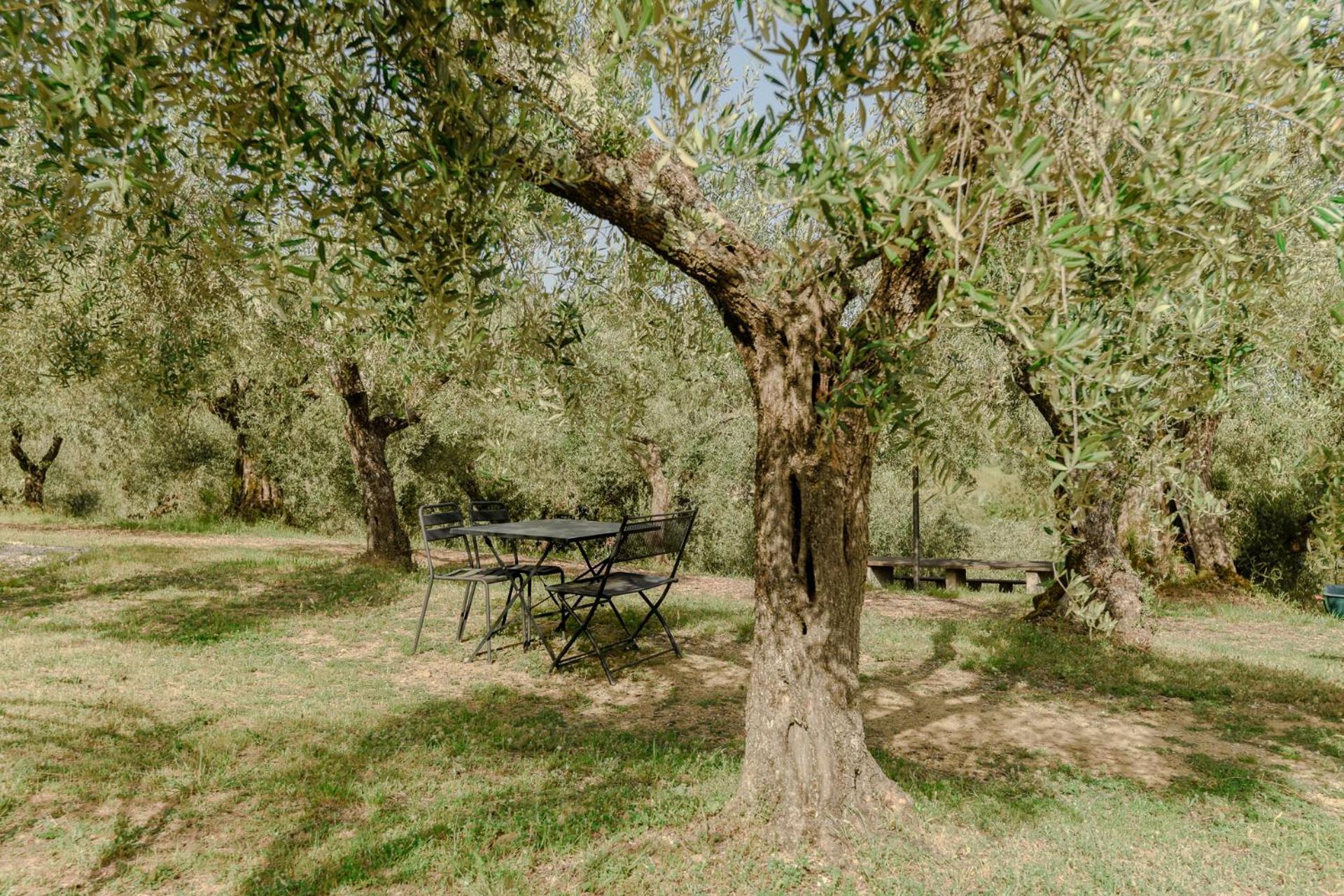 Agriturismo Il Mulino Delle Canutole Magione Esterno foto